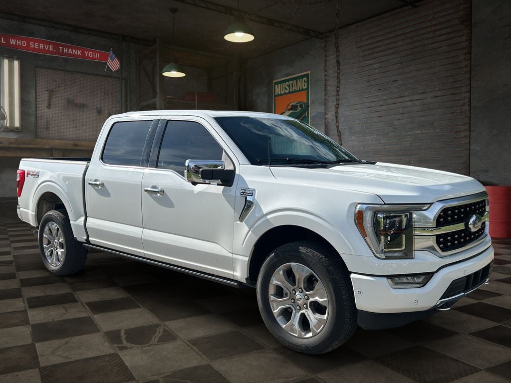 2022 Ford F-150 — side profile view